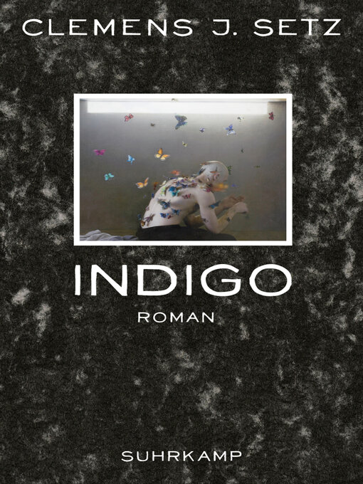 Title details for Indigo by Clemens J. Setz - Available